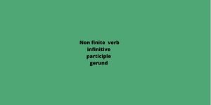 Non finite verb-Infinitive, Participle and Gerund