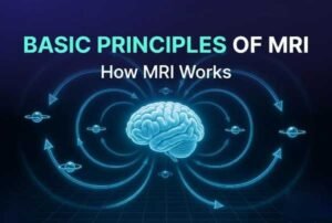 The Basic principle of MRI